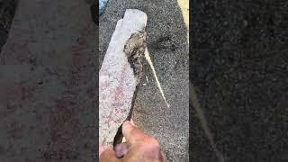 Giant Ancient Egyptian Nephilim Spear Artifact #1