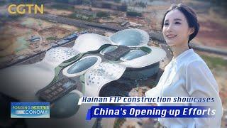 Hainan FTP construction showcases China's opening-up efforts