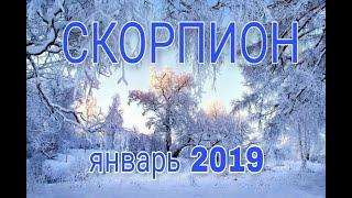 СКОРПИОН  ТАРО ПРОГНОЗ на ЯНВАРЬ 2019 года .