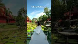 Cafes in Thailand are truly incredible! Don’t miss Ma Doo Bua Cafe in Phuket  #phuket #phukettravel