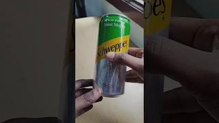 Schweppes Mint Mojito