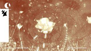 Laura van Dam feat. Dan Soleil - Never Feel Alone Again (Official Visualizer)