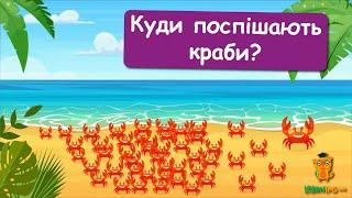 Дива природи. Явища навколо нас. Велика міграція червоних крабів на острові Різдва