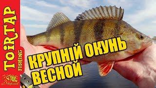 Ловля КРУПНОГО ОКУНЯ на съедобный силикон | Открытие  2018 + КОНКУРС!!