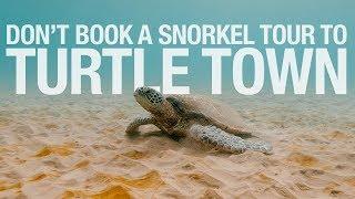 MAUI - DON'T BOOK A SNORKEL TOUR to Turtle Town