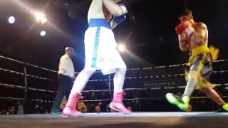 PRO BOXING Predrag Cvetkovic (SRB) vs Nicolas Esposito(ITA)