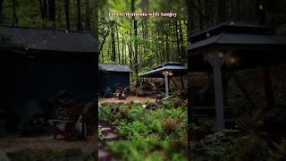 A Peaceful Forest Night Under Sunjoy 12x16 Wooden Gazebo! #outdoorfurniture #outdoorlivingspace