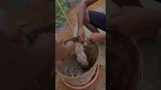 A Day with Rowdy Guys #trending #youtubeshorts #shortvideo #youtube#bgmi