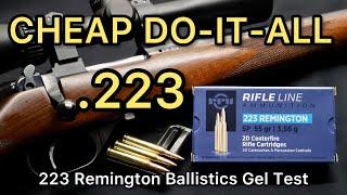 BEST CHEAP .223?! 223 Remington Prvi Partizan PPU 55gr SP Ammo Test