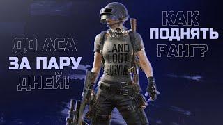 ДО АСА ЗА ПАРУ ДНЕЙ! КАК ПОДНЯТЬ РАНГ В ПУБГ МОБАЙЛ! ЛУЧШАЯ ТАКТИКА В PUBG MOBILE!