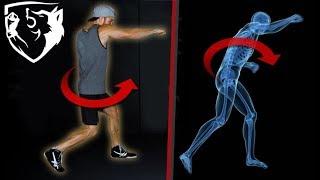 The Perfect Punch: Body Rotation Biomechanics