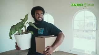 The best online plant store in Sri Lanka Introduction of Sapling Cloud