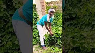 gharom mein biya koire kikor bi #shorts #shortsfeed #tiktokvideo #comedy #youtube
