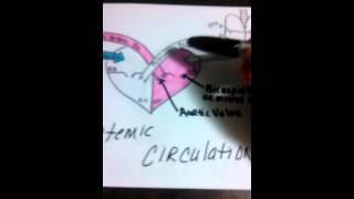 Trace of blood heart picture