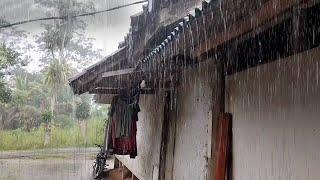 The sound of rain falling on the roof of the house is so beautiful it makes my rest comfortable ASMR