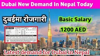 Dubai New Demand In Nepal Today | Job In Dubai For Nepali | Uae Work Visa Update |