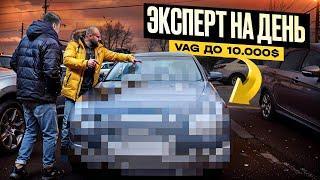 Эксперт на день | VAG до 10.000$ какую взять ? #саняпоможет