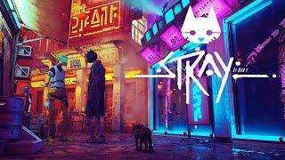 STRAY  Русский Трейлер игрового процесса 4К  Игра 2022 (Субтитры)