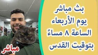 بث مباشر مع مربي القطط و المتابعين