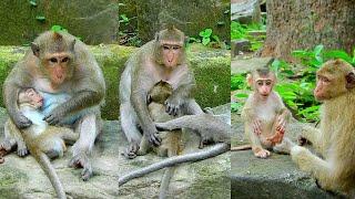 Lovely Lily baby joking with sister Rainbow, Lily is brave and smart, Jett baby hav a nice time to..