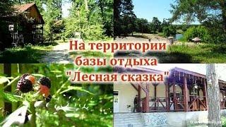 Базы отдыха на речке недалеко от Киева: на территории "Лесной сказки" в Ракитном