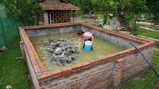 Build a roof to prevent baba from climbing out - Build farm turtle and soft-shelled turtle