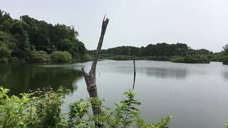 Harris Neck National Wildlife Refuge