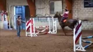 Sowlet et Fanny leçon d' obstacles Mai 2014