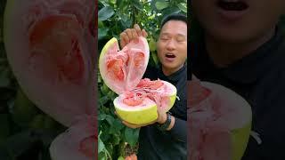 Best relaxing fruit tree farming | Oddly satisfying fresh fruit | Fruit Ninja Harvesting #653