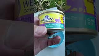 Introduction to Wellness Kitten Food