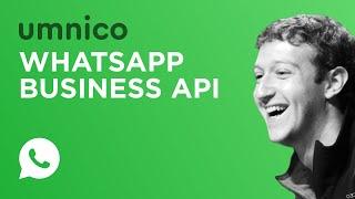 WhatsApp Business API Setup in Umnico