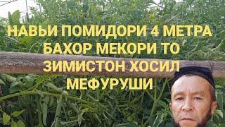 Баҳор мекори то Зимистон помидор мефуруши .маълумот 992 88 202 2225