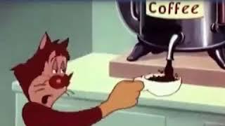 Funny Video | Nimbuzz
