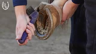 Riding Warehouse highlights the benefits of Pure Sole Hoof Mud