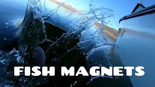 3 Killer Fishing Techniques for Strawberry Reservoir (Utah Fishing Tips)