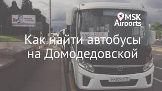 Где находится остановка автобусов в аэропорт Домодедово