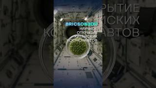  #BRICSобзор ️ На борту китайской космической станции обнаружен новый вид микробов
