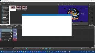 How to Remove the Ignite Pro Watermark Without Using the Media Generator