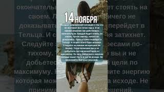 ГОРОСКОП 14 ноября - Старый конфликт, недовольство. Управление гневом #астролог #психолог #таро