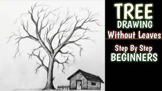 How to draw a tree (Without leaves) - Step by step