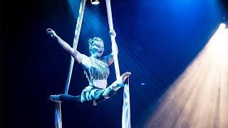 Aerial Silks Performance by Darla Day (owner of Aeris Aerial Arts) in Thriller | Cirque du Soleil