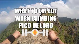 What to expect when climbing Mt. Pico De Loro!