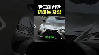 한국에서만 까이는 차량