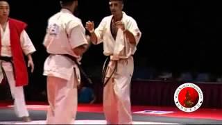 2010 WKO World Kumite Championships Middleweight Third Fight Level 3