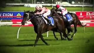 Black Caviar: All 25 Wins