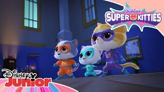 Catch the Thief  | SuperKitties ⭐ | Disney Junior MENA