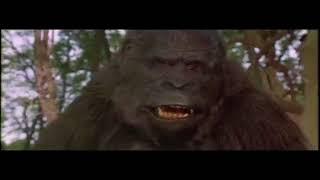 Gorilla Scene Parody