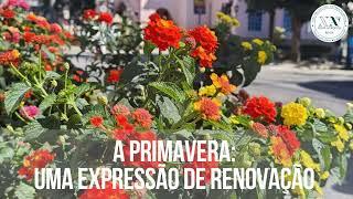 A Primavera: uma expressão de renovação