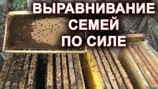 Выравнивание семей по силе