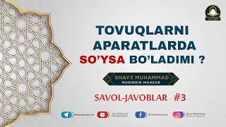 3- Savol: Tovuqlarni soʻyadigan aparatda soʻyish hukmi nima?  | Shayx Muhammad Muhiddin Mansur